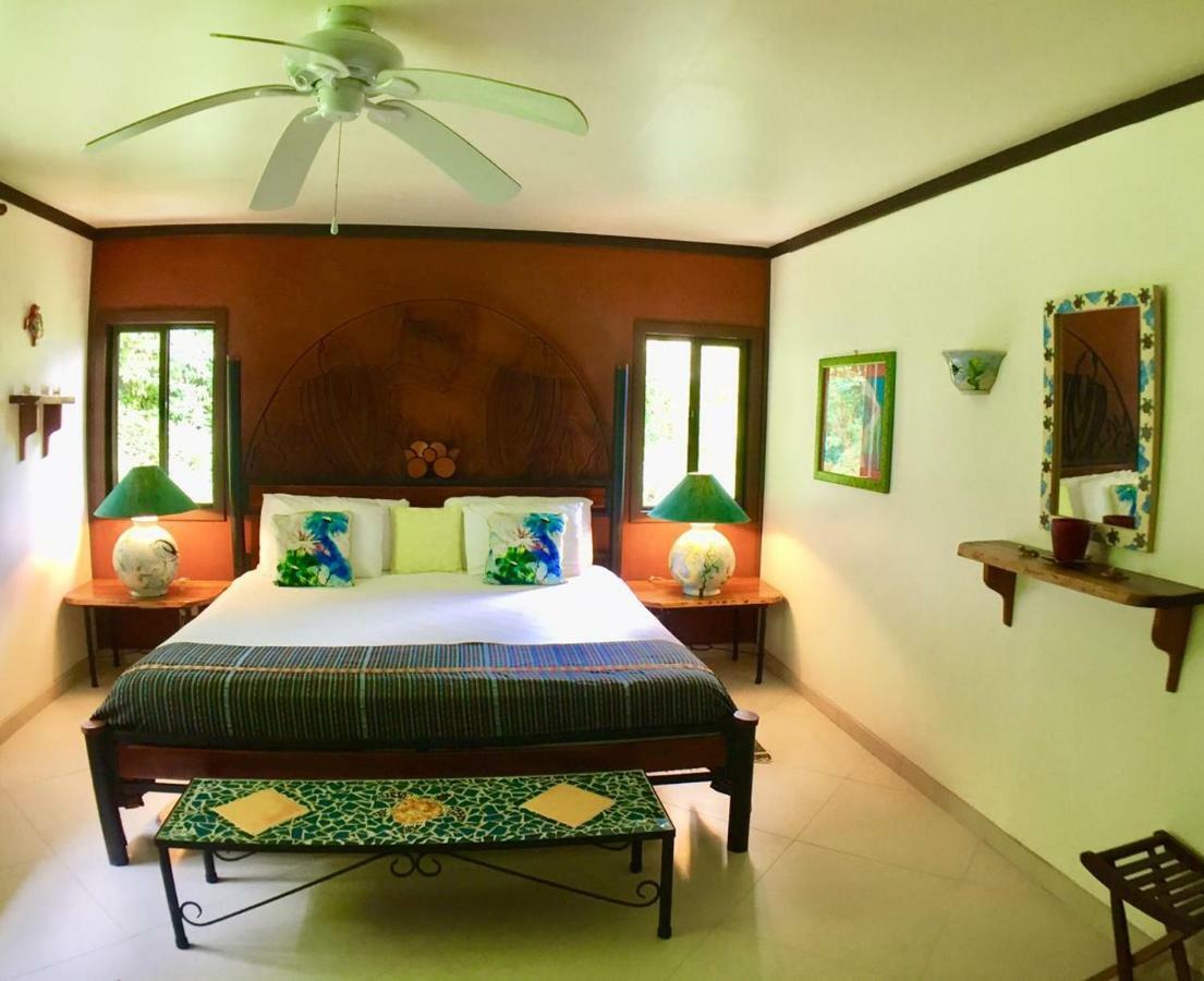 Lucky Bug Bed And Breakfast Nuevo Arenal Kültér fotó